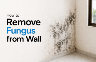 How to Remove Fungus from Wall