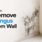 How to Remove Fungus from Wall